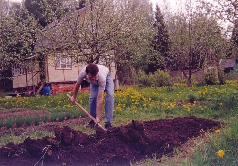 Работа есть на дачу