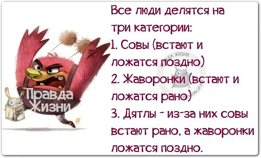 Правда жизни приколы. Смешные цитаты с картинками правда жизни. Правда жизни картинки с надписями. Правда жизни картинки прикольные.