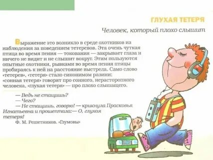 Что такое сонные тетери