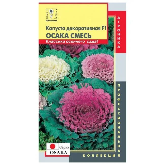 Капуста декоративная 'нагоя микс' (смесь). Декоративная капуста семена. Капуста листовая семена. Декоративная капуста крейн пинк. Капуста декоративная осака красная.