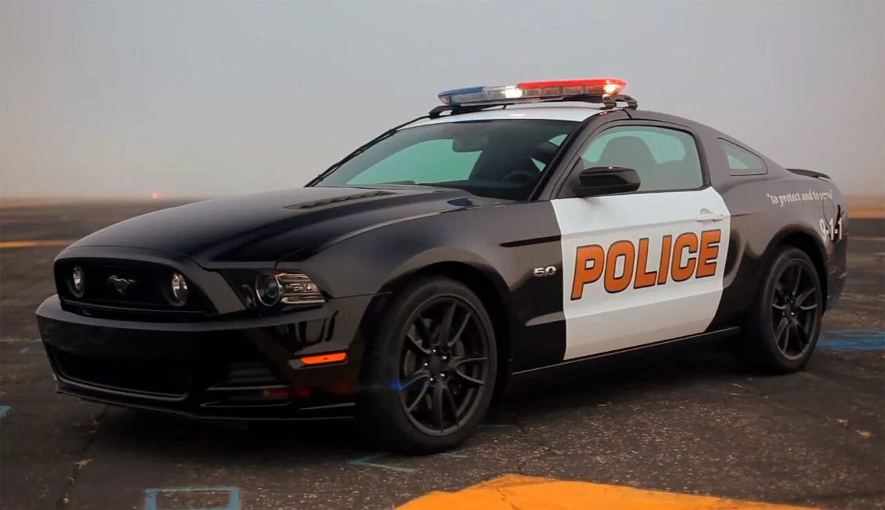 Полицейский мустанг. Ford Mustang 2016 Police. Ford Mustang gt 2014 Police. Форд Мустанг 2000 Police. Форд Мустанг 911 полиция.