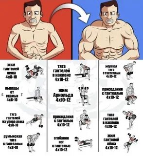 Сплит для тренировок в зале