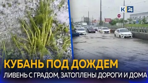 Кубань погода сейчас