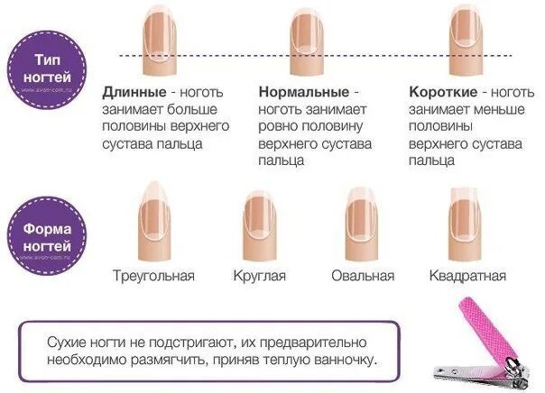 Как подобрать формы для наращивания ногтей. Формы натуральных ногтей и их названия. какую форму ногтей выбрать. типы натуральных ногтей. типы форм ногтей натуральных.