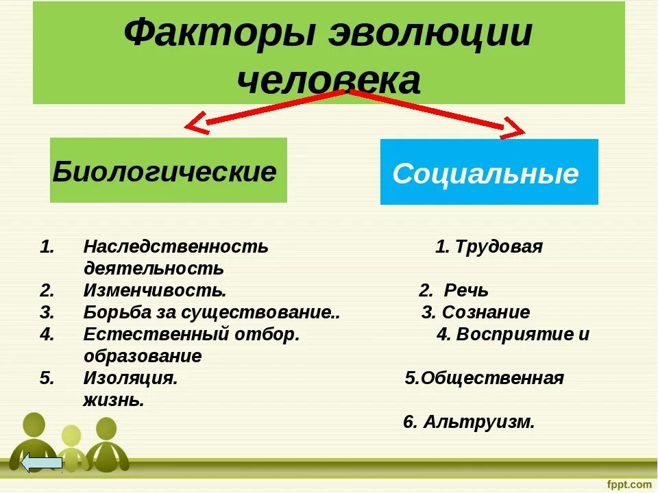 К биологической природе человека относятся. Социальные факторы эволюции человека. Биологические и социальные факторы эволюции. Биологические факторы эволюции человека. Факторы эволюции человека биологические и социальные таблица.