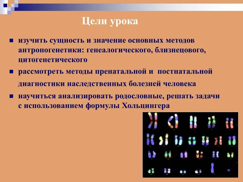 Цитогенетический метод генетики человека. Цитогенетический метод диагностики наследственных болезней. Близнецовый метод цитогенетический метод. Цели и задачи цитогенетического метода.