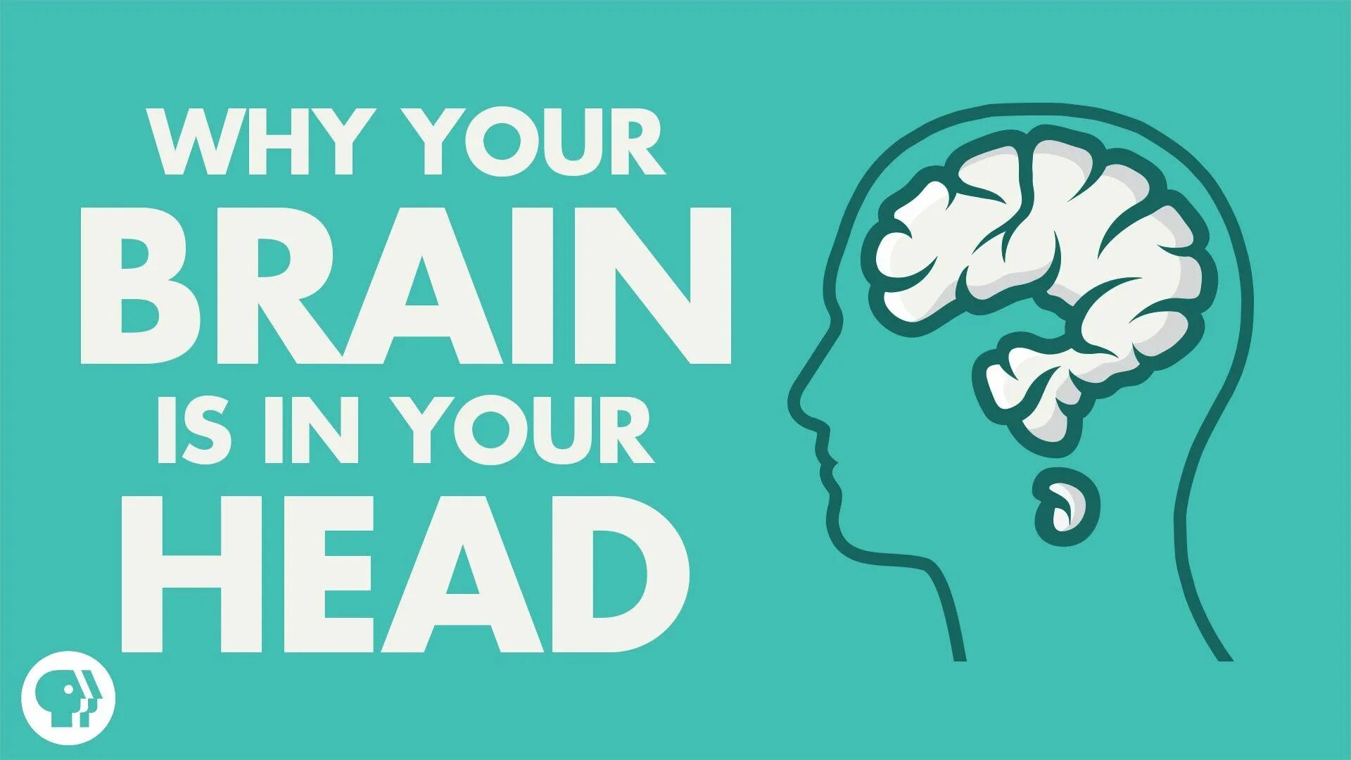 Use your head. Make your Brain Happy надпись. In your head. In your head in your head.