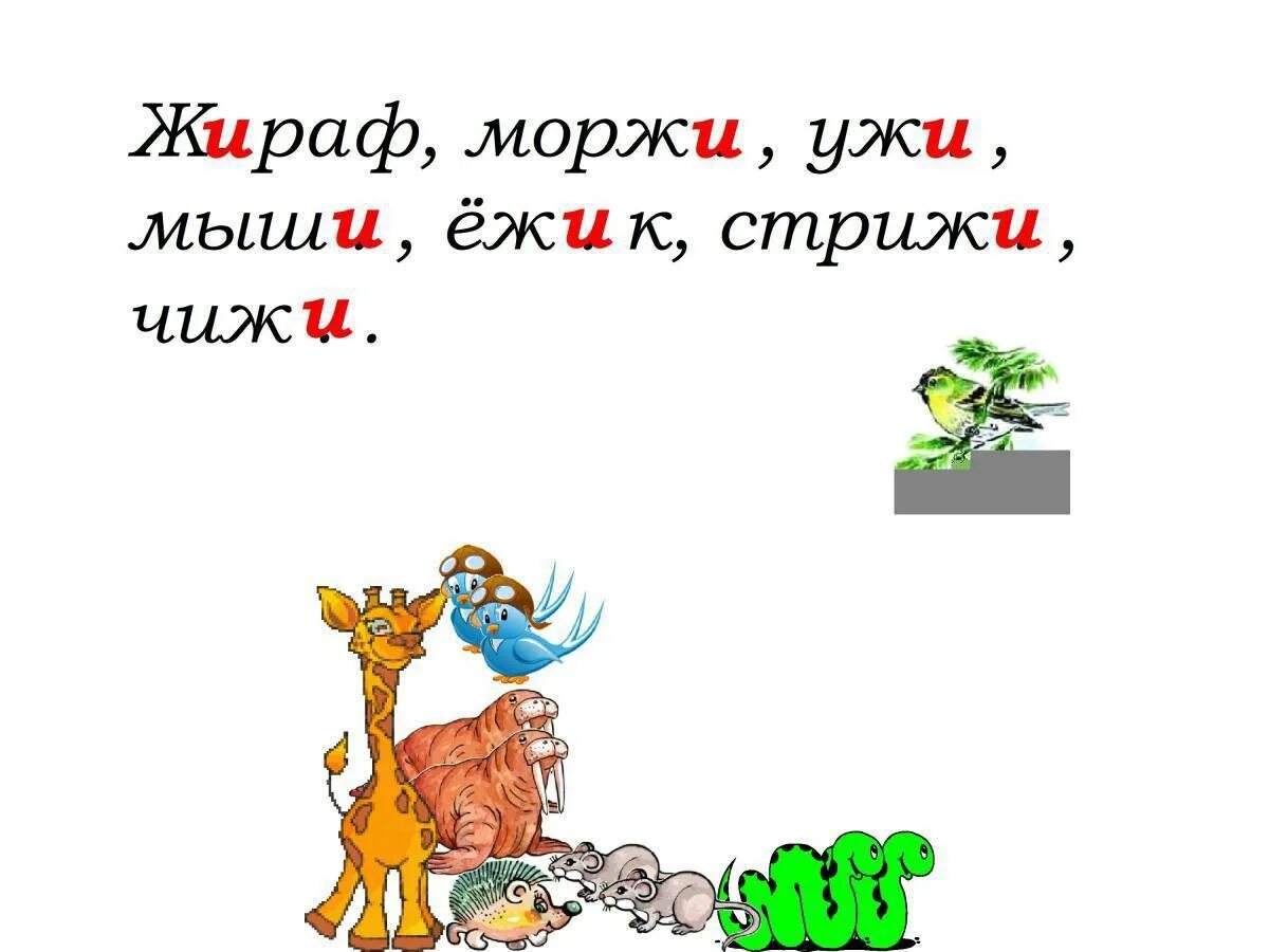 Загадки на тему жи ши. Правописание жи ши. Жи ши картинки. Жи ши картинки для детей.