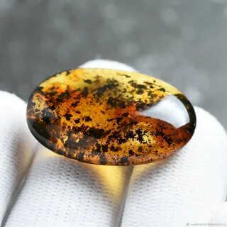 Янтарь из смолы хвойных деревьев