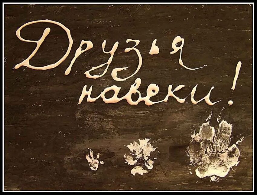 Я б на веки. Друзья навеки. лучшие друзья надпись. лучшие друзья навеки. дружба на век.