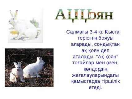 Таня Таня порно қарау