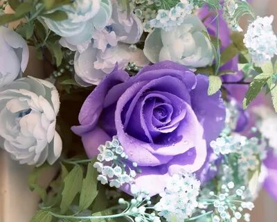 Цветы18