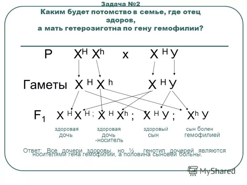 Сколько дает потомства