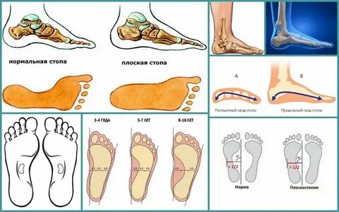 Foot формы