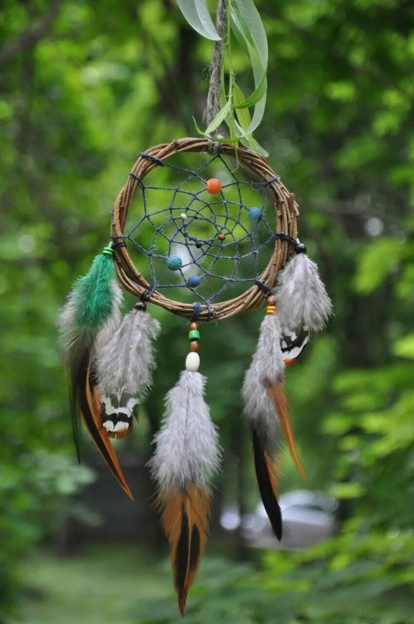 Розмари дансмор ловец снов. Дреам катчер ловец снов. Ловец снов из веток. Ловец снов украшение. Ловитель снов розовый.
