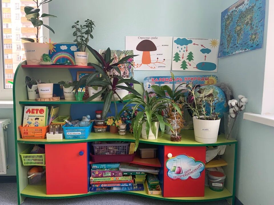 Содержание уголков в детском саду. Оборудование уголка природы. уголок природы своими руками. уголок природы коллекции для детей. уголок нетронутой природы в детском саду.