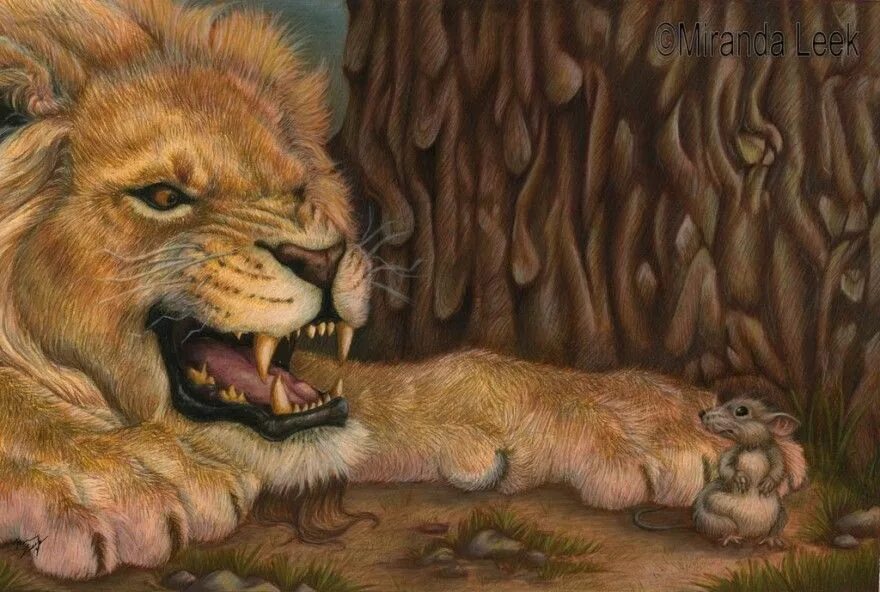 Лев толстой басня лев медведь и лиса. Сказка толстого два товарища. Сказка про льва. Басня 2 льва. Л.