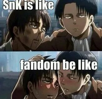 Meme fandom