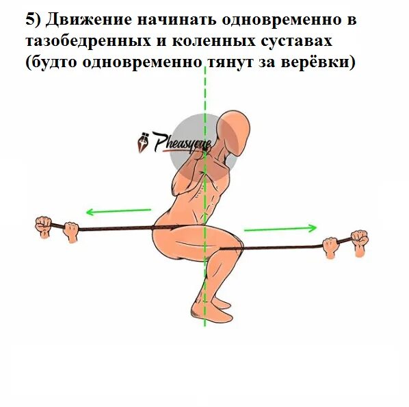 Какие движения происходят. Положение штанги на спине при приседаниях. Правильная техника приседаний со штангой для мужчин. Правильный присед со штангой для мужчин. Приседания с отведением таза назад.