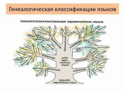 Основы генеалогической классификации языков