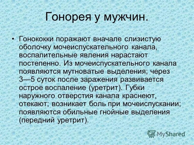гонококк у мужчин симптомы. причины развития гонореи. гонококки пути заражения. пути заражения гемореи. симптомы заражения гонореей.