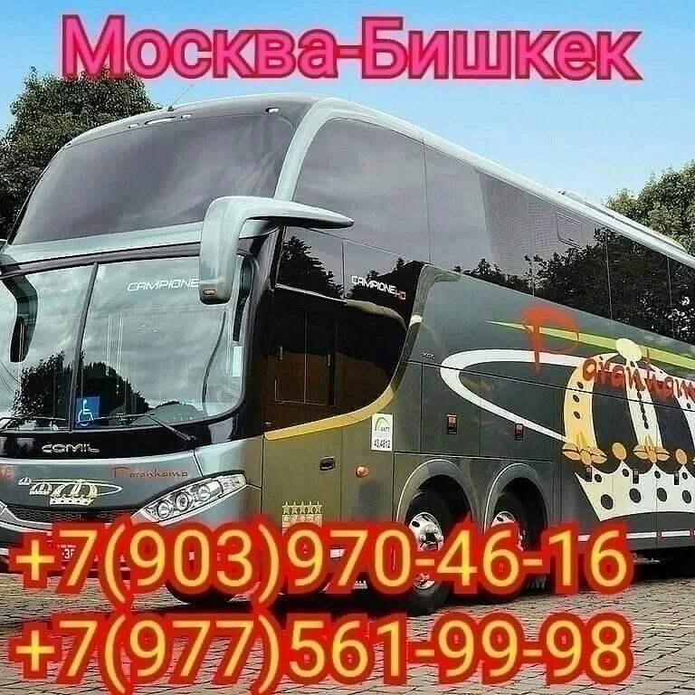 Бишкек московский. Москва бишкек. москва бишкек на машине. рейсы бишкек москва. автобус бишкек москва.