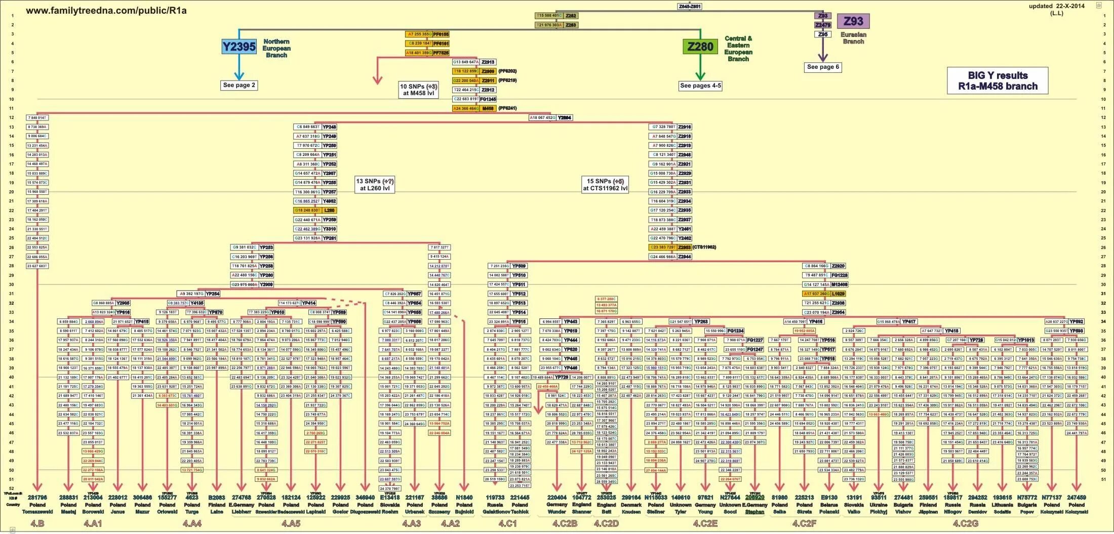 сайт днк генеалогии. в ядре сосредоточено днк а в митохондриях днк человека. документы днк генеалогии дагестана. днк генеалогия амурских казаков. клёсов днк-генеалогия.
