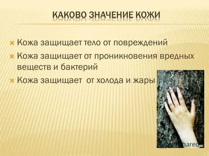 Предохраняет кожу от повреждений