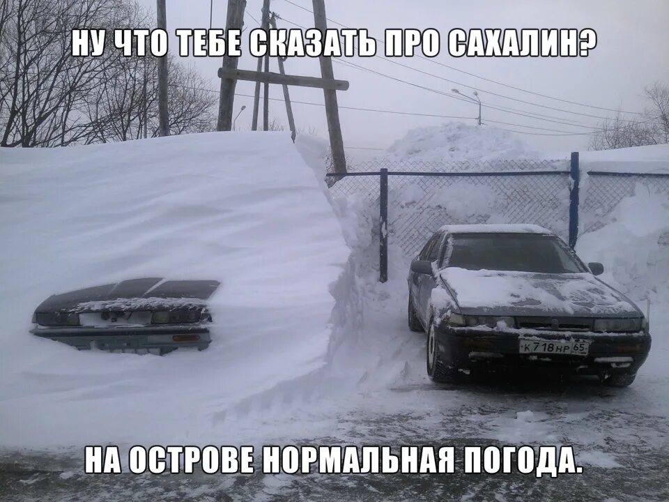 Ну что тебе сказать про сахалин текст. Сахалин приколы. Шутки про Сахалин. Ну что тебе сказать про Сахалин. Свхалин приколы.