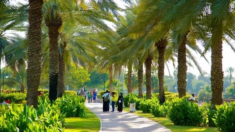 Safa park