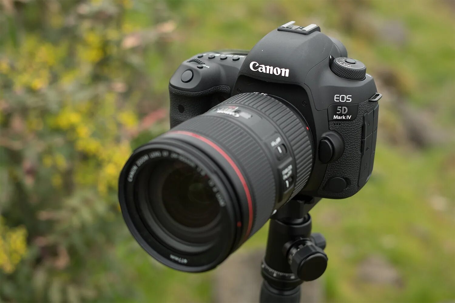Canon 6d mark 4. Canon eos 5d mark iv. Canon 6d mark 4. Canon eos 5d mark iv. Canon eos 5d mark 2.