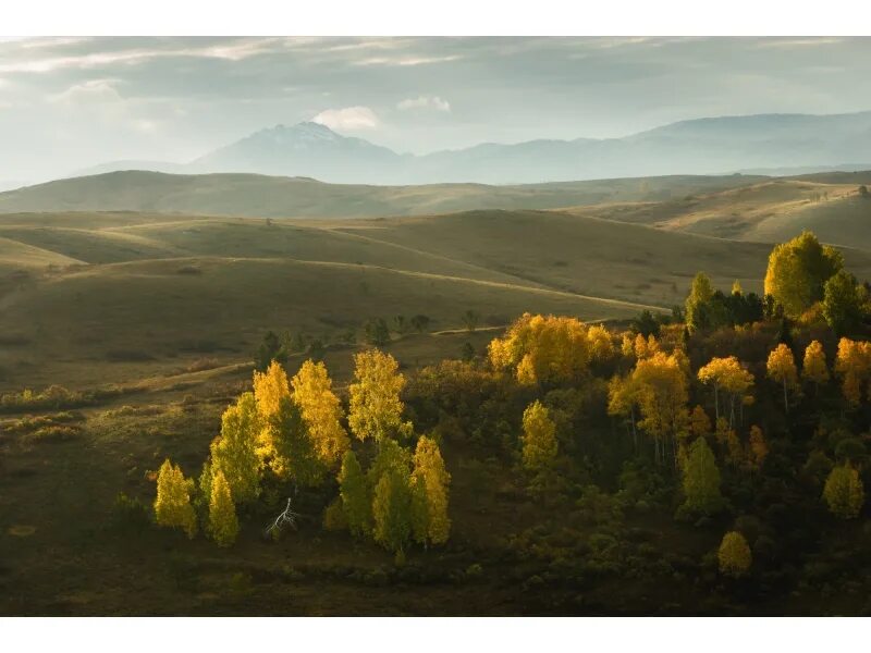 Казанцево Курьинский район. Колывань Алтайский край. Курьинский район Алтайский край. Курья Курьинский район Алтайский край. Погода алтайский край казанцево