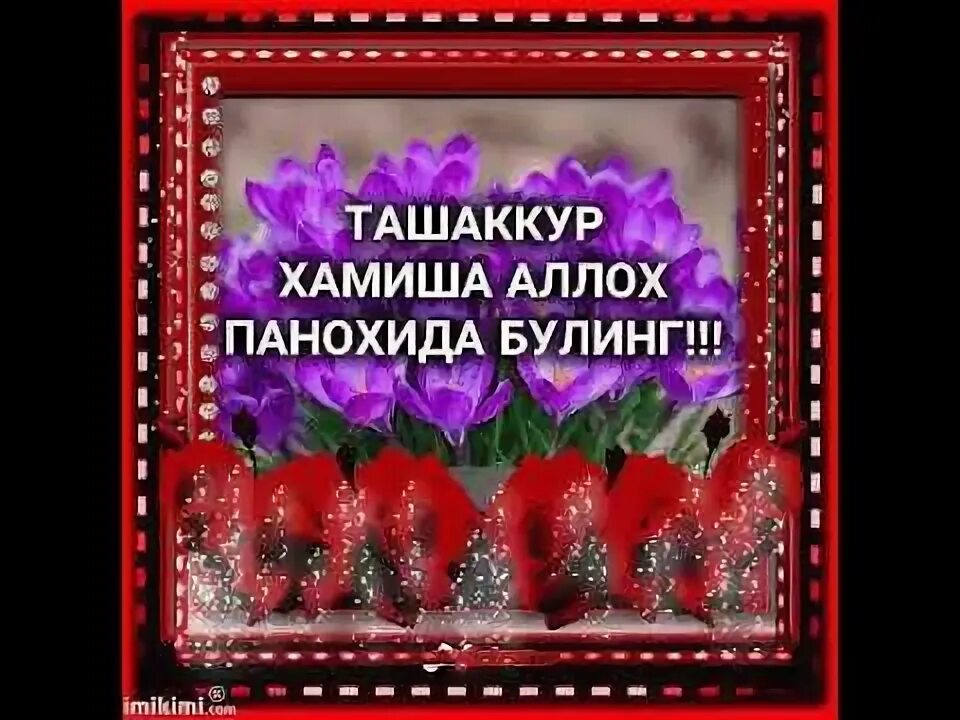 Сог саломат. Саломат булинг. Саломат булинг. Аллох сизни панохида асрасин. Саломат булинг.
