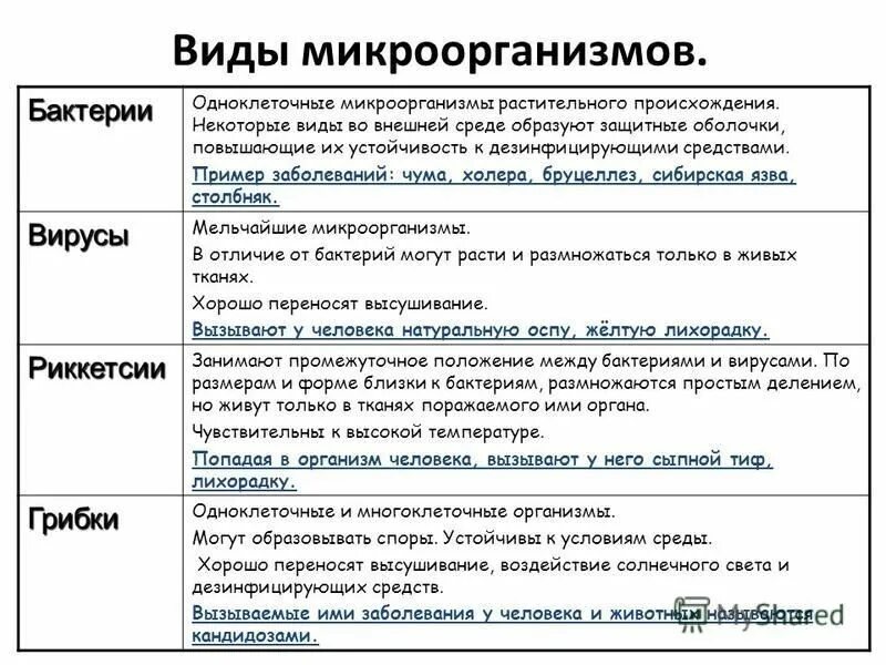 Перечислите группу микроорганизмов