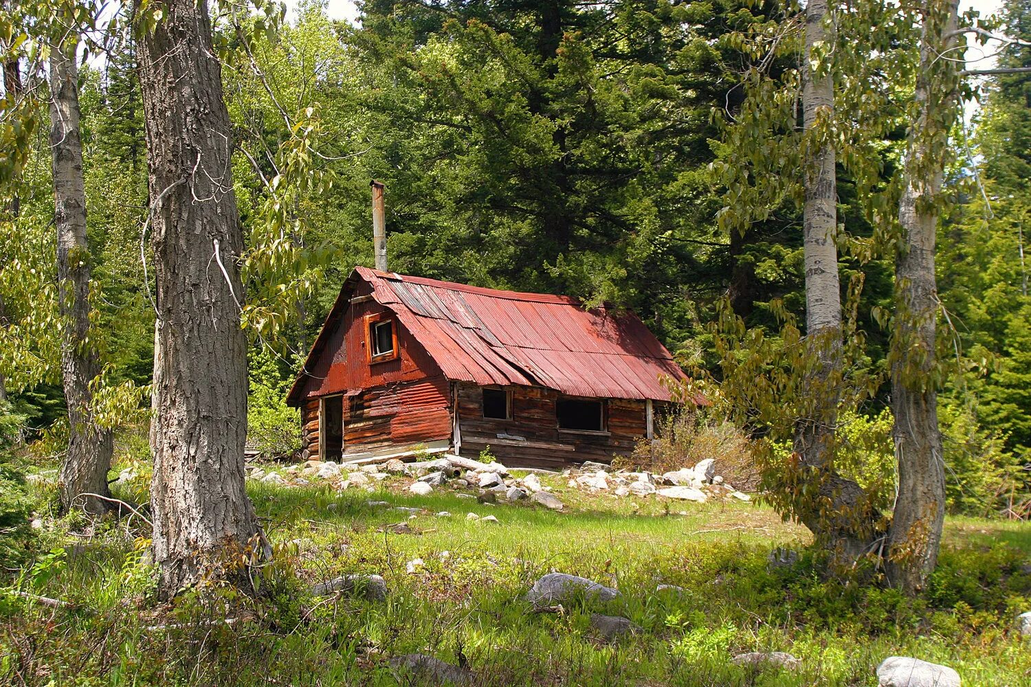 Дом лесника зима тайга. Лесная хижина финляндия. Аляска log cabin. Домик лесника красная поляна. Forest cabin сруб.