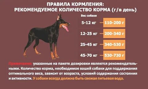 Сколько еды нужно собаке по весу