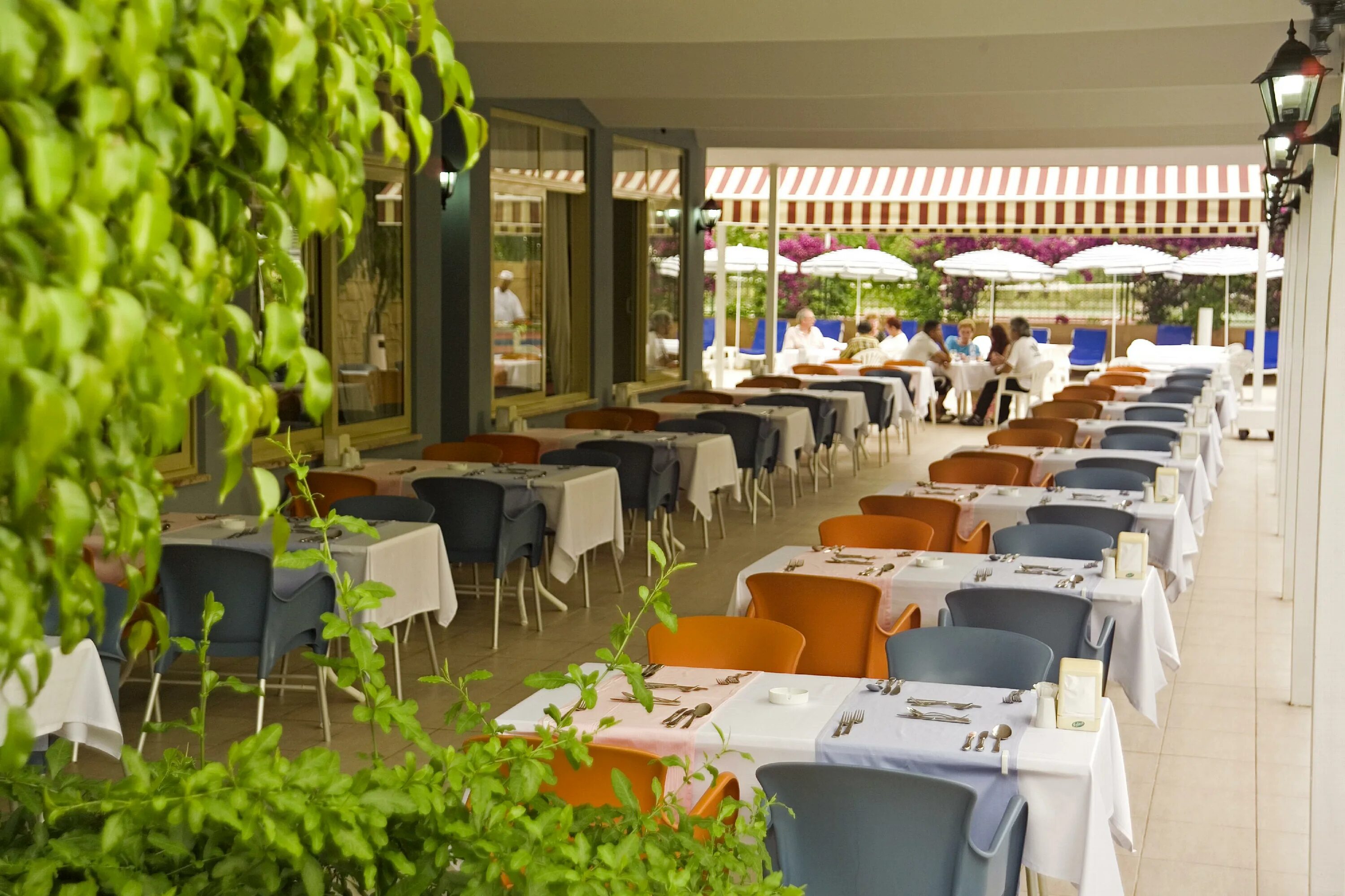 Vital beach hotel)     . Отель витал бич конаклы. Eva beach hotel 3 турция. Solis beach hotel 3 аланья. Eva beach hotel 3 турция.