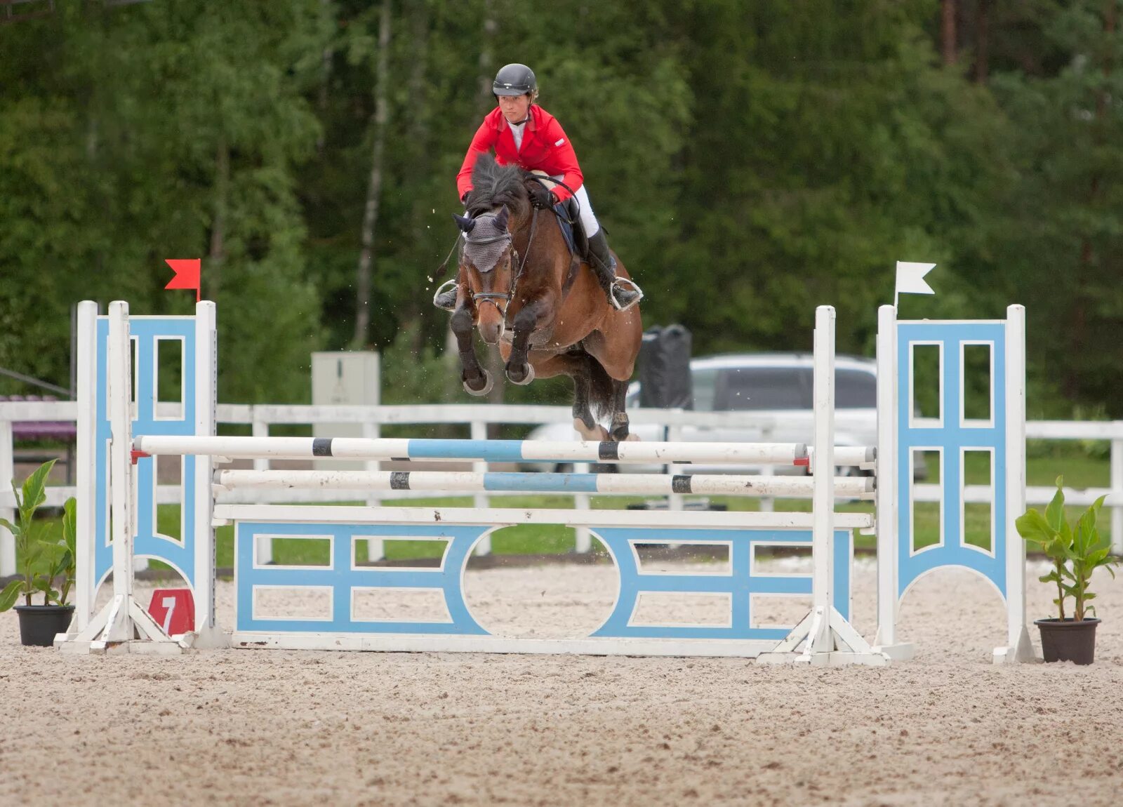 Охотничий конкур. Конкур подарки. Соревнования по конкуру грамота. Кск вента конкур. Сандро чихладзе конкур.