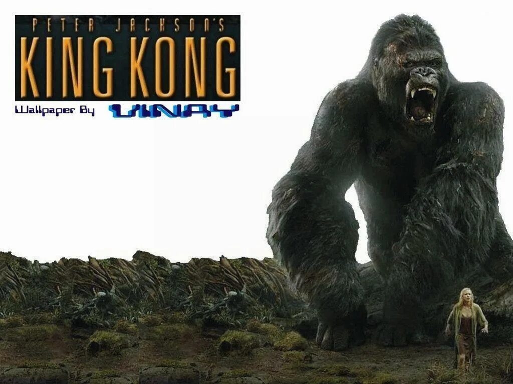 King kong 4. Горилла Кинг Конг. Кинг Конг 2017 рост. Кинг Конг 3. Рост Кинг Конга в 2005 году.