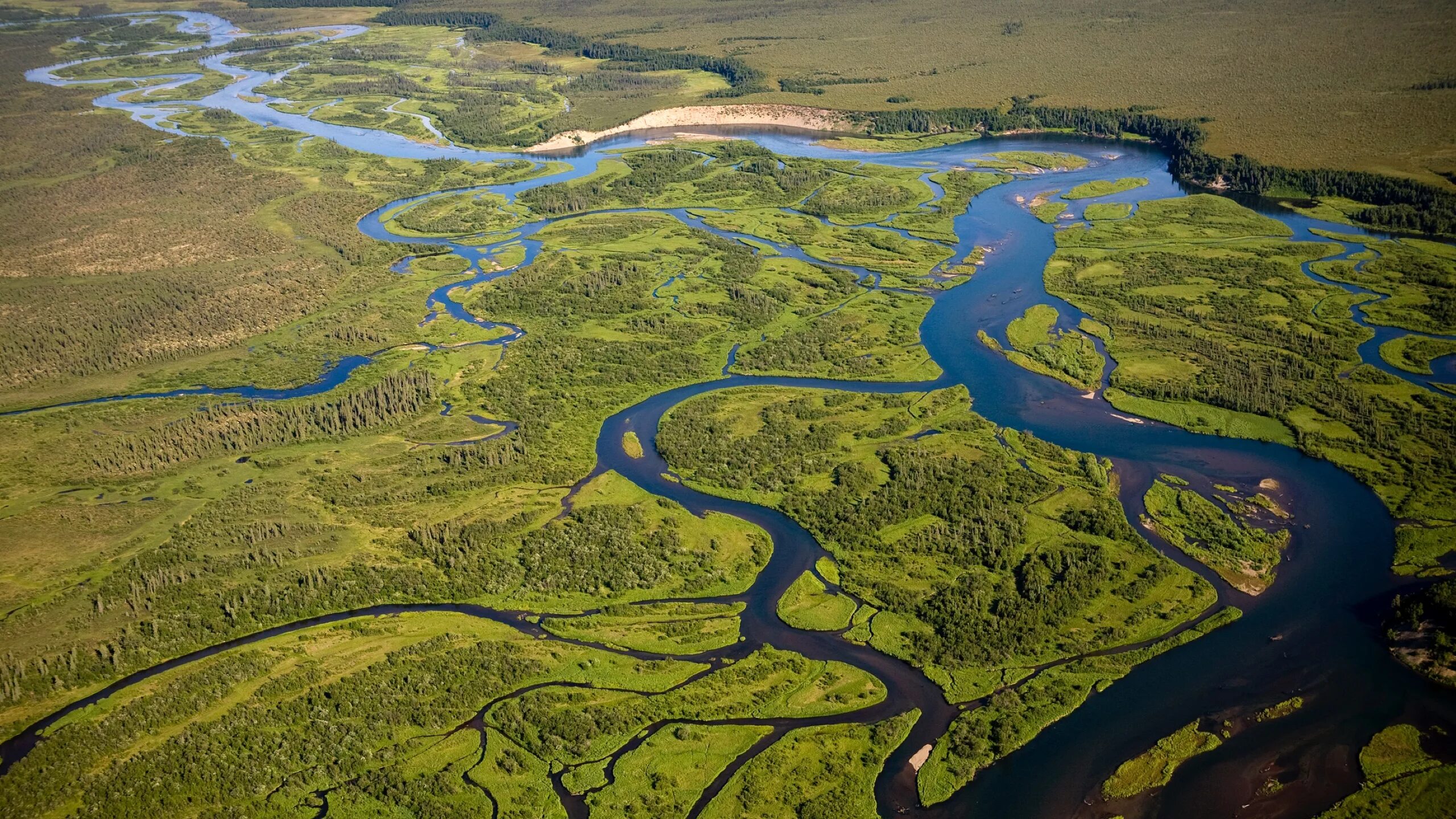 В болоте пресная вода. Речная экосистема. Лотические экосистемы. Пресная водная экосистема. Биогеоценоз реки.