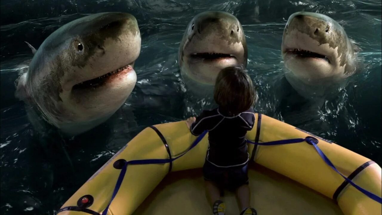 домашняя акула. друзья акулы. акула друг. друзья акулы. Two friends shark.