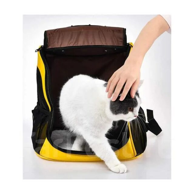 Рюкзак сумка для животных Xiaomi little Beast Star Pet School Bag Breathable Space. Переноска little Beast. Переноска Сяоми для животных. Рюкзак-сумка для животных Xiaomi little Beast Star Pet Shool Bag, желтый.