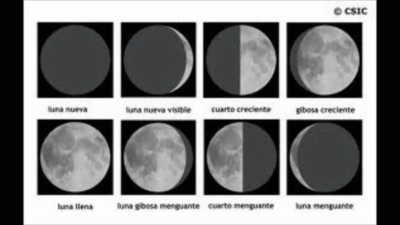 La luna falsa на русском. Луна в разрезе. Луна в разрезе картинки. Фаза Луны la. Какой формы Луна.