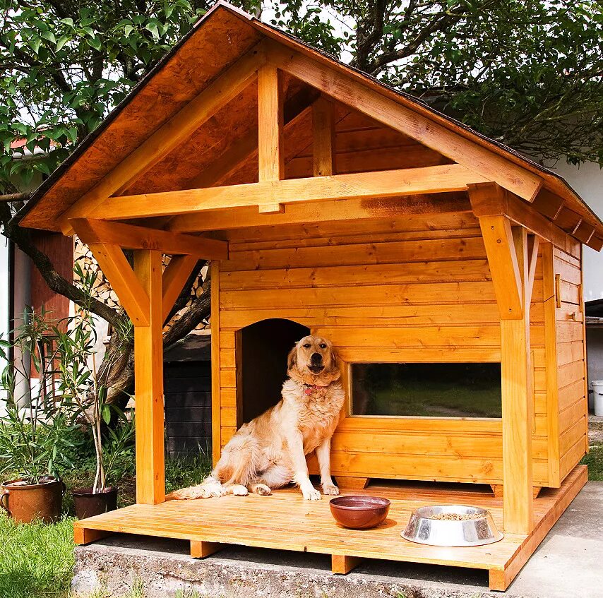 Собачья будка односкатная. Собачья конура будка. Собачья будка для алабая. Джек-рассел-терьер дрессировка. Собака с конурой.