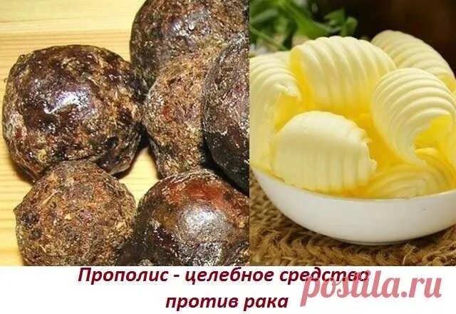 Прополис твердый. Прополис при. Прополис камень. Прополис от простуды. Лечение онкологии медом.