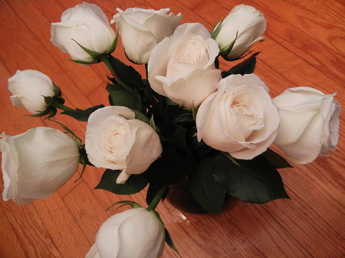 Фото цветов на столе реальные. Букет белых роз. Букет цветов в вазе на столе. Букет белых роз в вазе. Букет роз дома.
