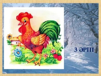 Жаңа транспорно