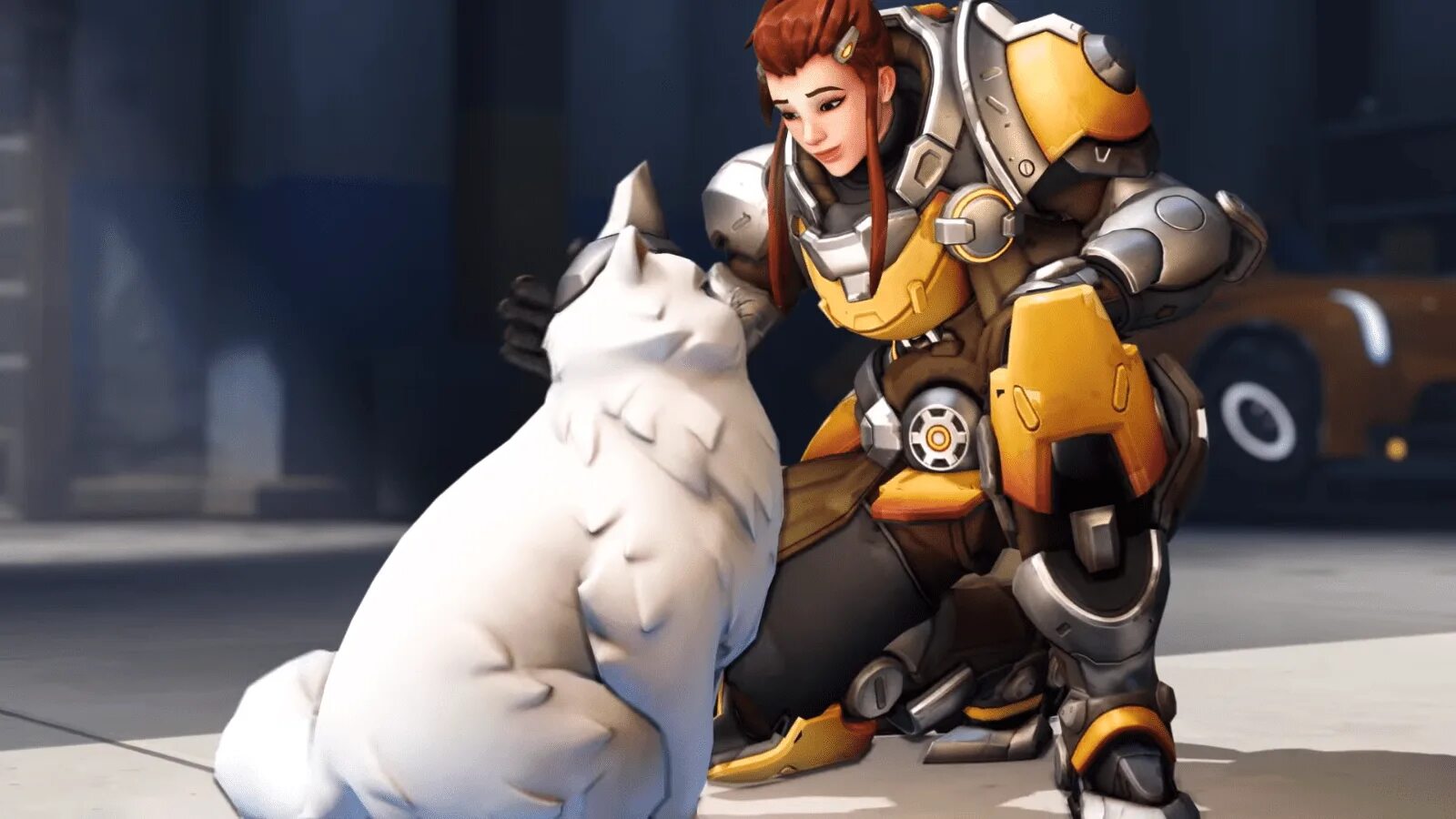 Близзард овервотч. Бригитта овервотч 2. бригитта овервотч. трейсер котик overwatch 2. кот бригитты овервотч.