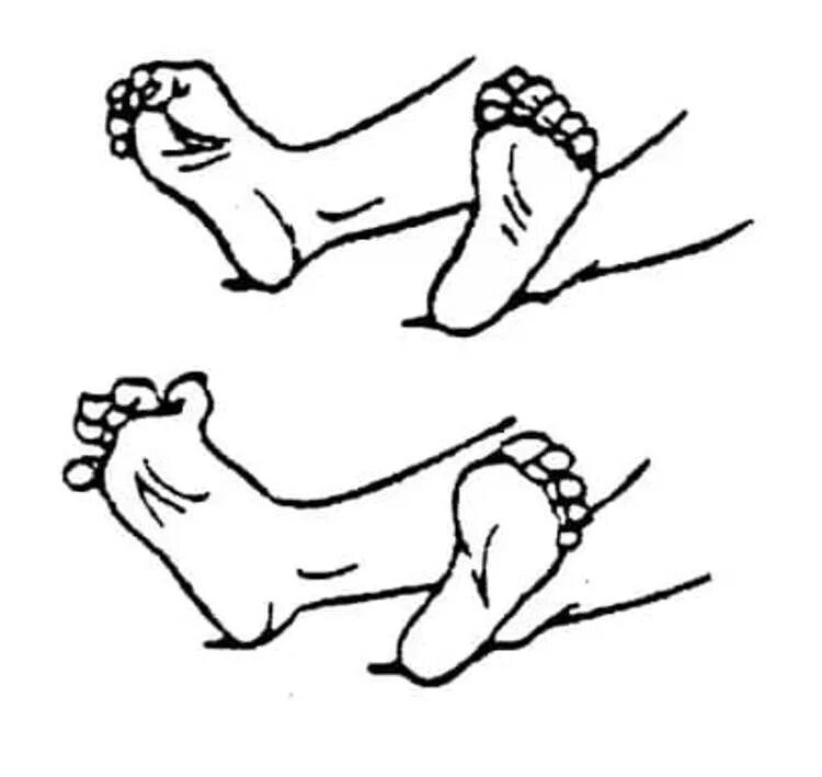 Сжимание и разжимание пальцев ног. Упражнения для стопы и пальцев ног. Сгибание и разгибание пальцев ног. Сгибание стопы упражнения. Развести пятки