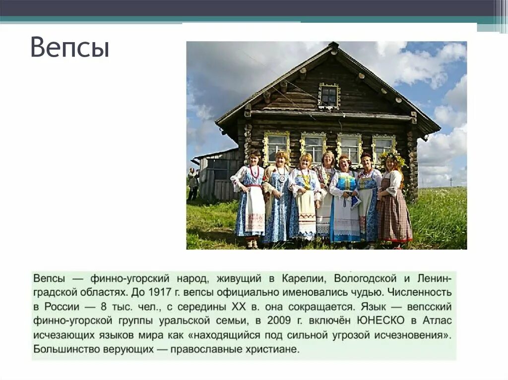 Финно угорская группа в россии. Вепсы народ России. Вепсы финно-угорский народ. Вепсы народ традиции. Традиции европейского севера.